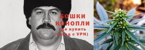 индика Инта