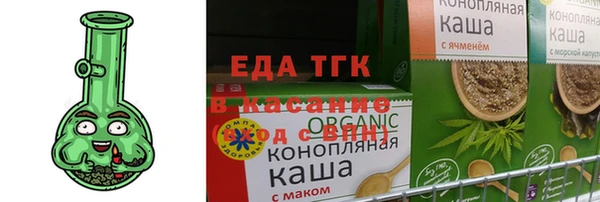 индика Инта