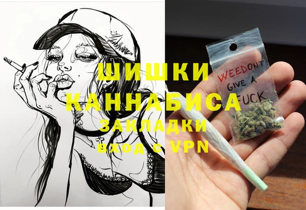 индика Инта
