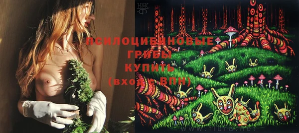 СК Иннополис