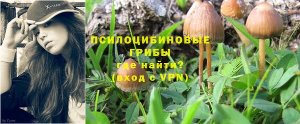 СК Иннополис