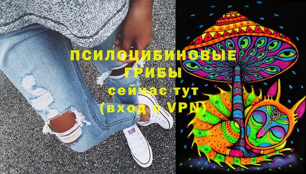 индика Инта